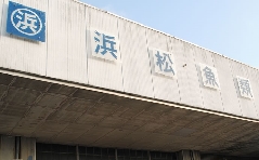浜松魚類　株式会社