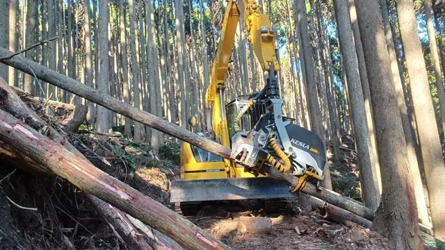 株式会社 いしい林業