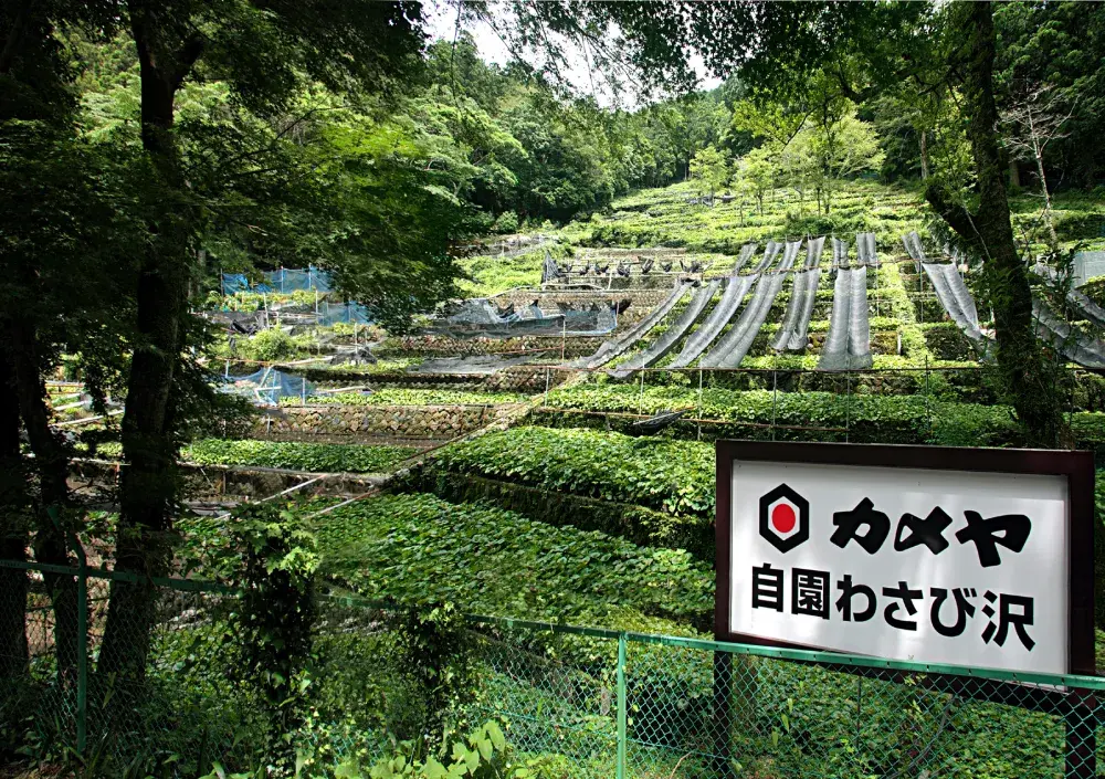 カメヤ食品株式会社