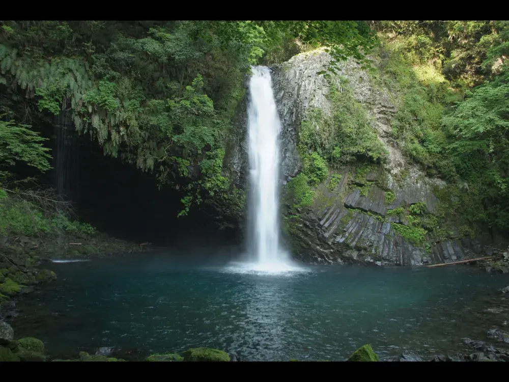 浄蓮の滝株式会社
